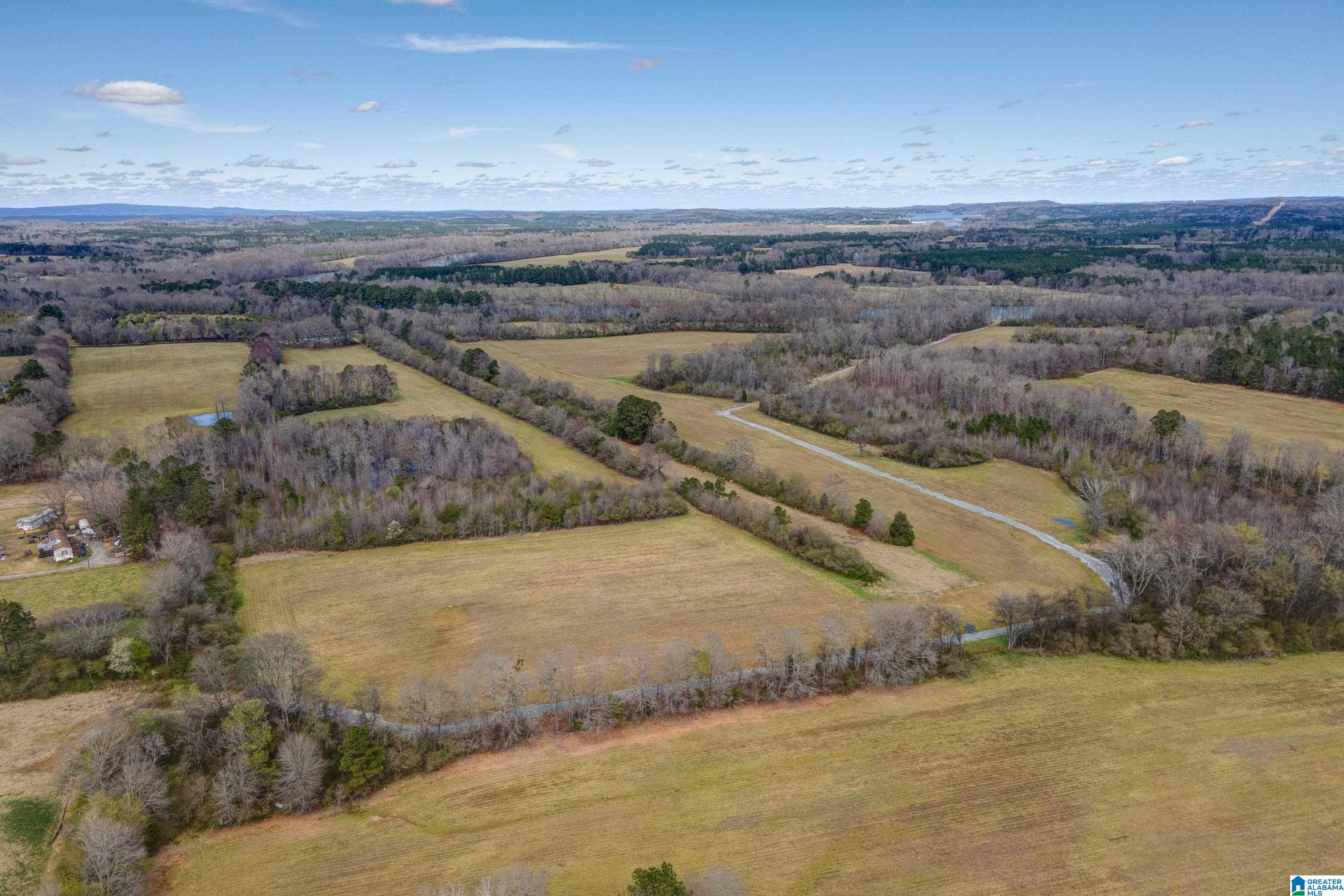 Bates Road, Unit 100 Vincent, AL 35178 - Photo 2 of 29