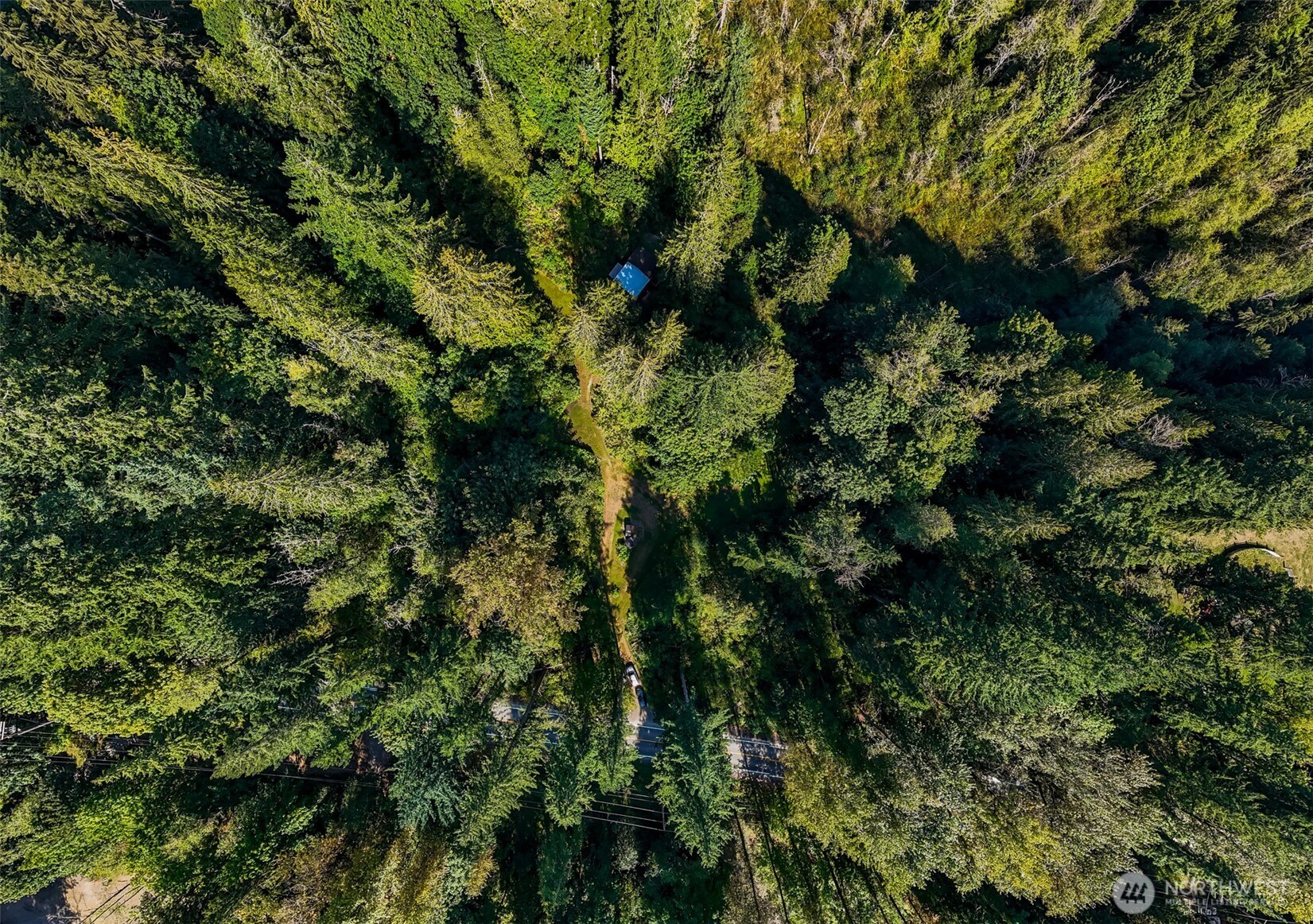 9778 Mt Baker Highway Deming, WA 98244 - Photo 32 of 40 a view of a tree