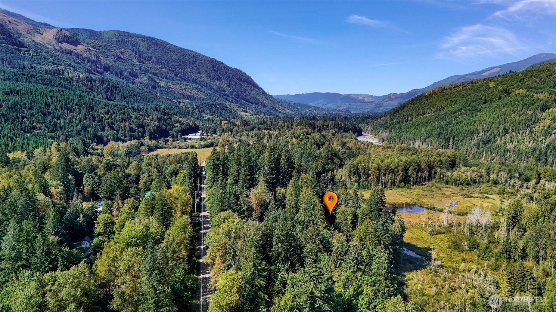 9778 Mt Baker Highway Deming, WA 98244 - Photo 36 of 40 a view of a large tree with a yard