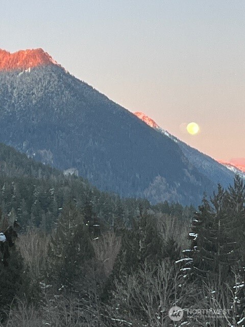 9778 Mt Baker Highway Deming, WA 98244 - Photo 40 of 40 a view of a dry yard with mountains in the background