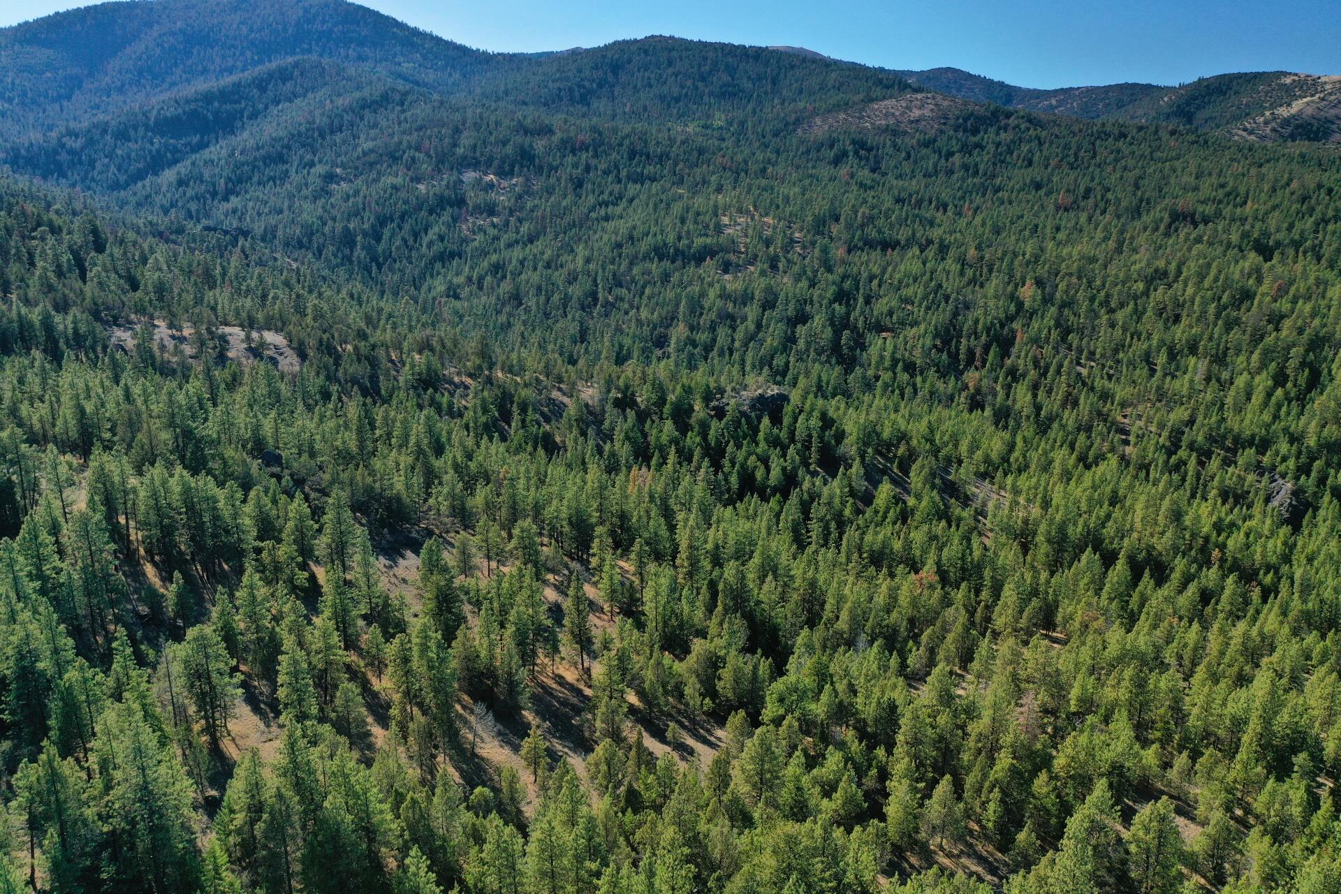 Nans Rock Rd Mount, Unit 3007 Mount Vernon, OR 97865 - Photo 2 of 16 DJI_0053