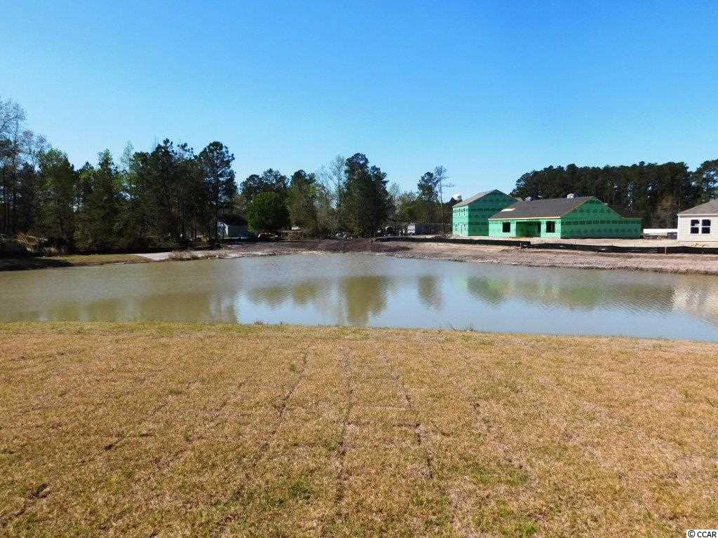 413 Quinta Street Longs, SC 29568 - Photo 21 of 24 Gallery Image 21