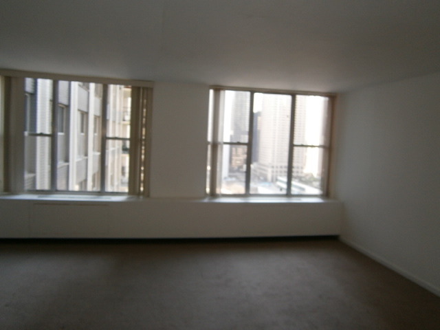 400 East Randolph Street, Unit 2222 Chicago, IL 60601 - Photo 3 of 10