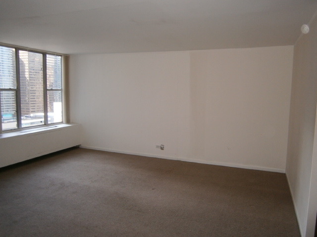 400 East Randolph Street, Unit 2222 Chicago, IL 60601 - Photo 4 of 10