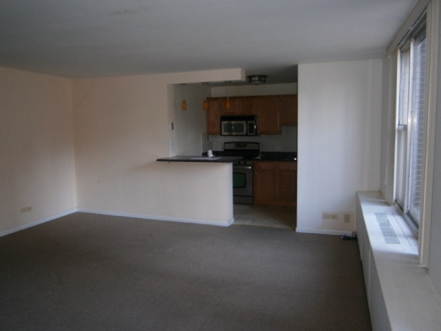 400 East Randolph Street, Unit 2222 Chicago, IL 60601 - Photo 5 of 10