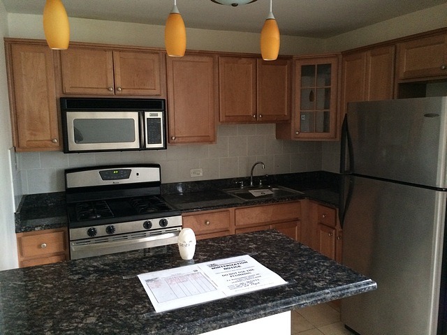 400 East Randolph Street, Unit 2222 Chicago, IL 60601 - Photo 6 of 10