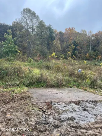 $159,000 | 2440 Mt Carmel Road, Mosheim, TN 37818