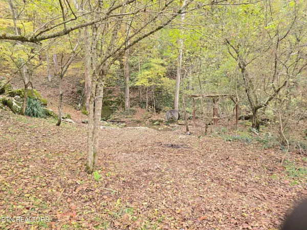 $159,000 | 2440 Mt Carmel Road, Mosheim, TN 37818