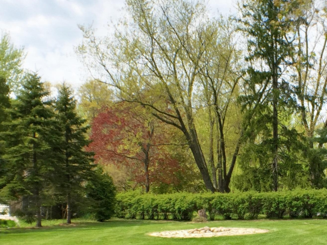 8341 West East Road Lakeside, MI 49128 - Photo 11 of 17 IMG_3122