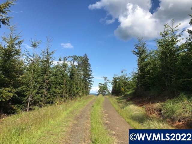 0 Old Military (frontage) Road Dallas, OR 97338 - Photo 9 of 12