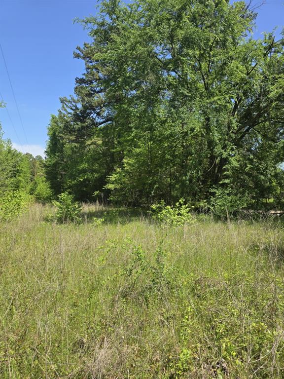 421 County Road 421 Tyler, TX 75704 - Photo 7 of 11