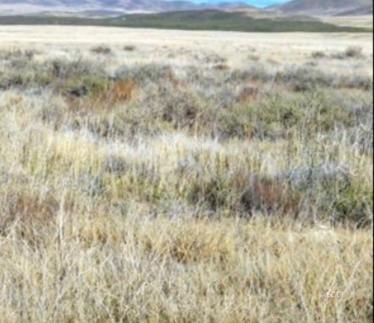40 Acres T31n Crescent Valley, NV 89821 - Photo 1 of 9