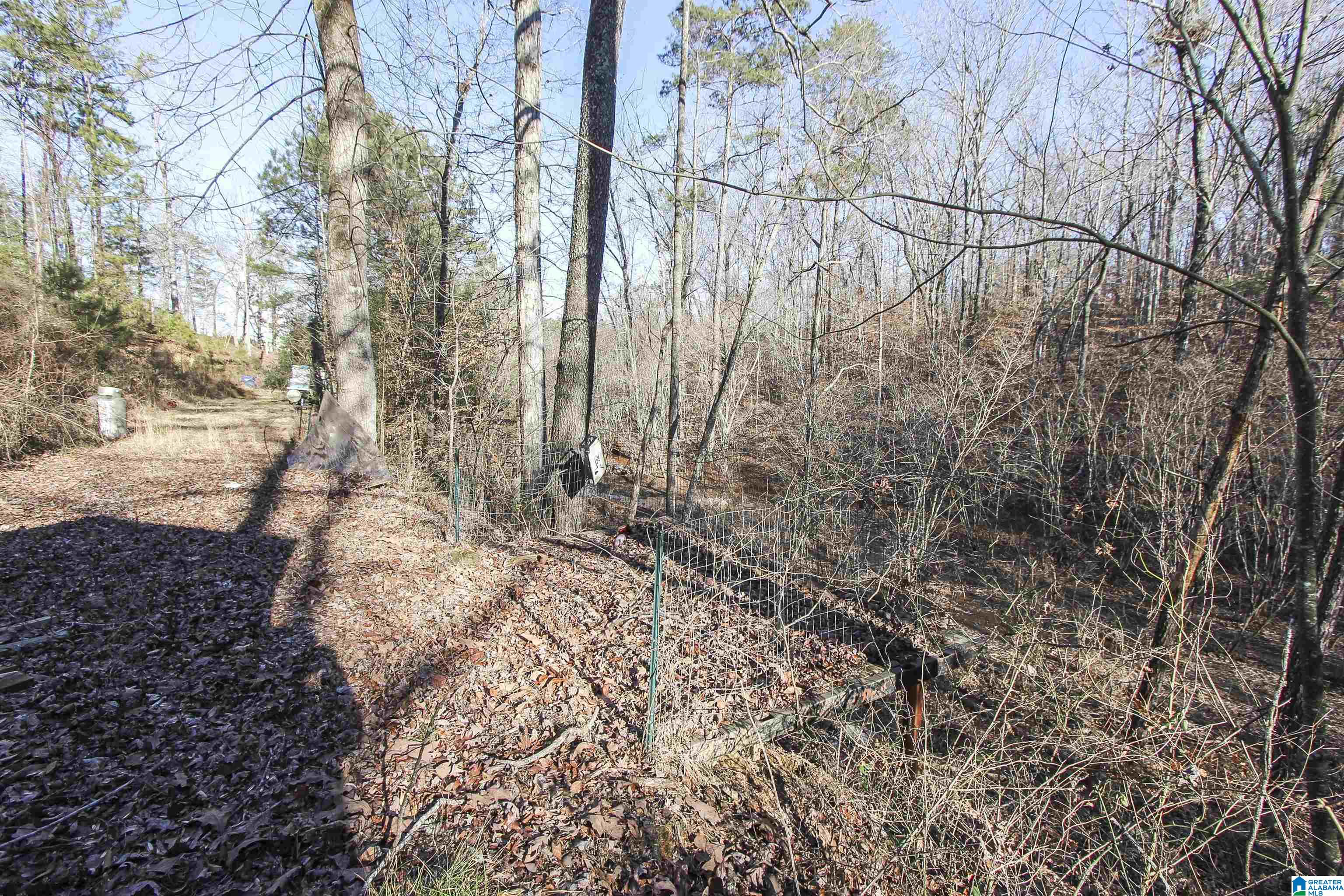 129 Mohawk Trail Ohatchee, AL 36271 - Photo 5 of 29