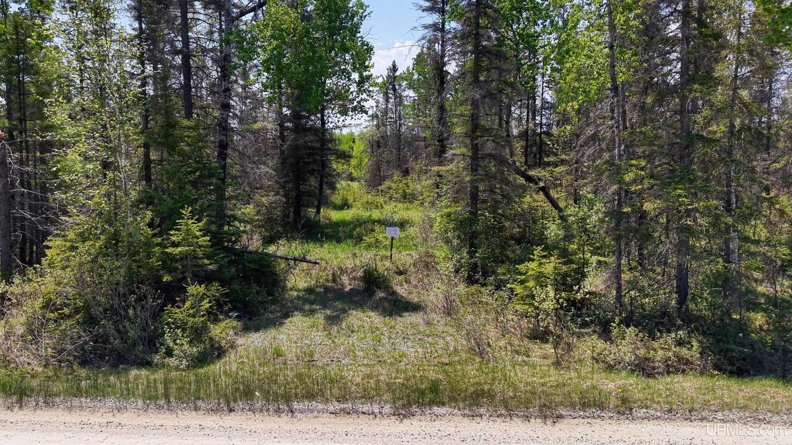 Tbd Co Rd 511 / Y5 Road, Unit STONINGTON Rapid River, MI 49878 - Photo 16 of 21