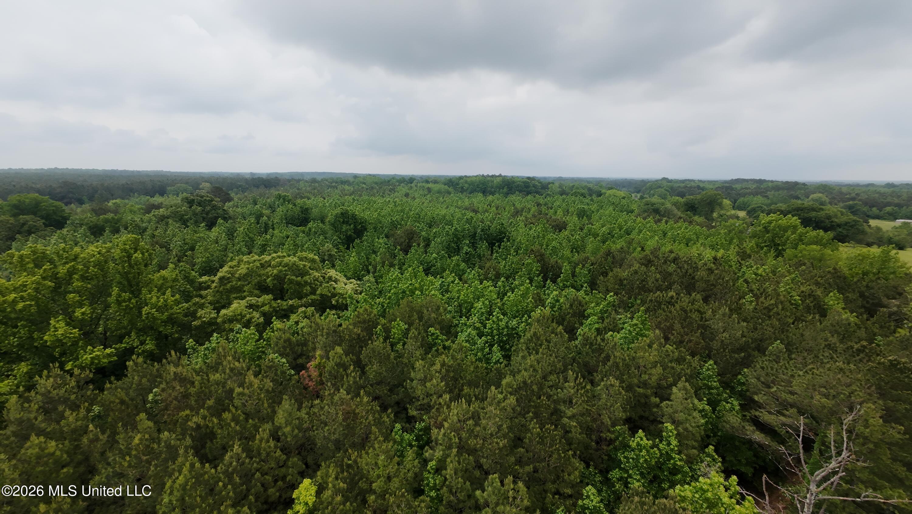 6936 Hillsboro-Ludlow Road Forest, MS 39074 - Photo 15 of 22 DJI_20260429131242_0142_D
