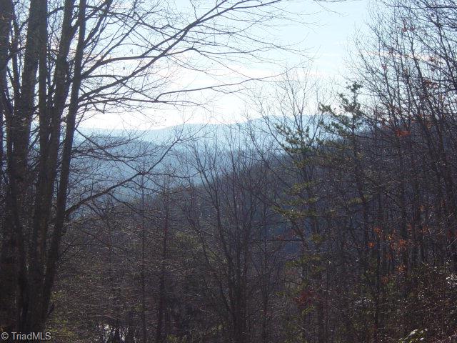 1 Spring Mountain Road McGrady, NC 28649 - Photo 1 of 1 Main View