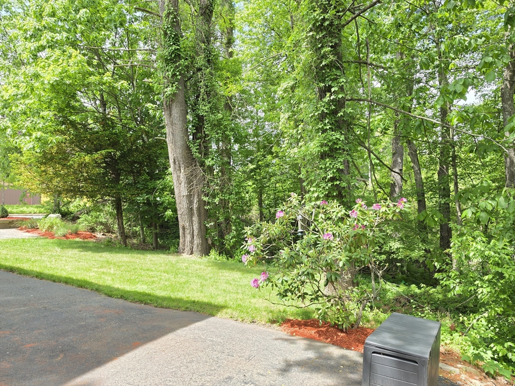 84 West Union Street Ashland, MA 01721 - Photo 3 of 41