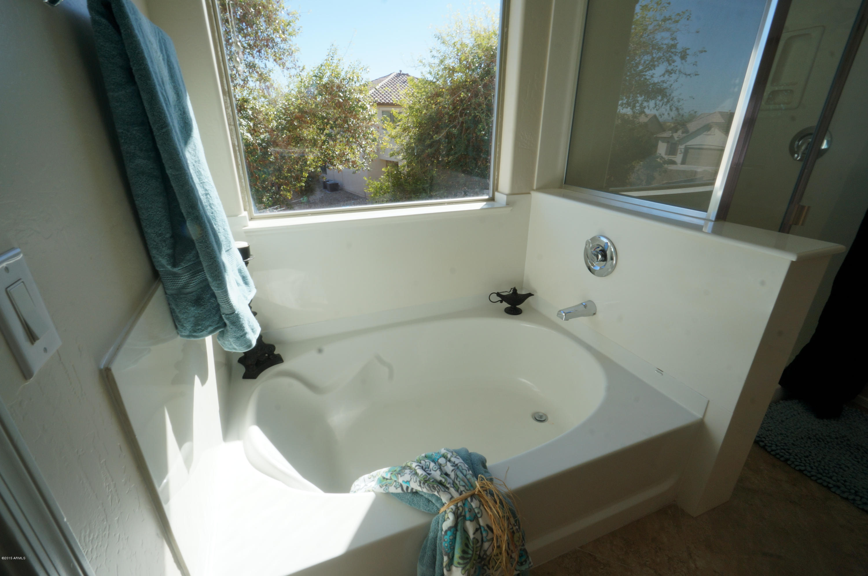 14135 West Calavar Road Surprise, AZ 85379 - Photo 16 of 54 soak tub in master suite