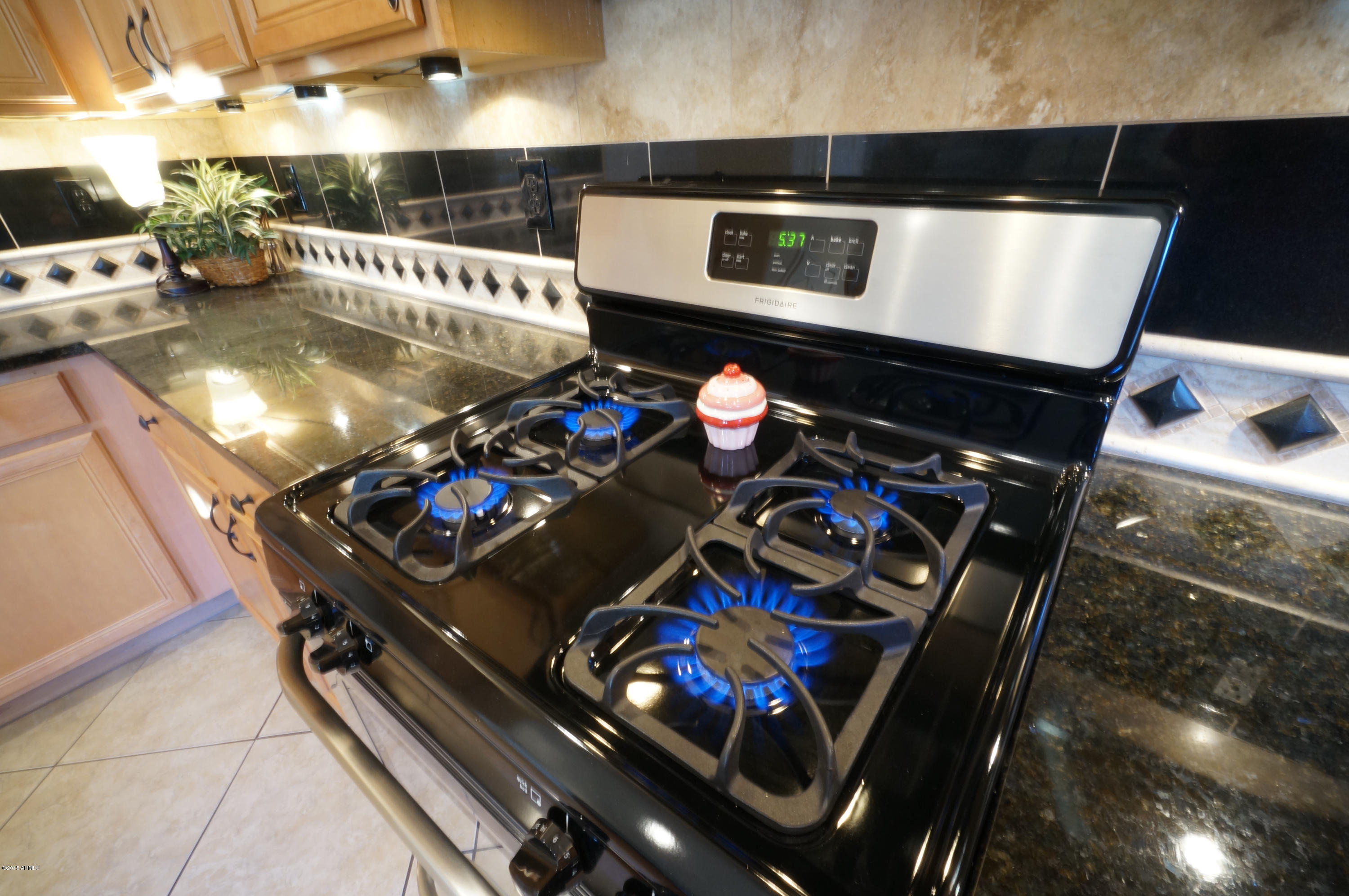 14135 West Calavar Road Surprise, AZ 85379 - Photo 8 of 54 new gas range