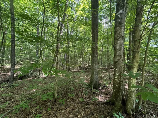 $149,900 | 2 Highway 304, Ten Mile, TN 37880
