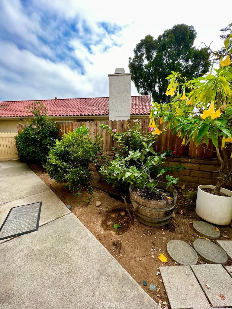 803 Caminito Azul Carlsbad, CA 92011 - Photo 38 of 44 a garden with lots of potted plants