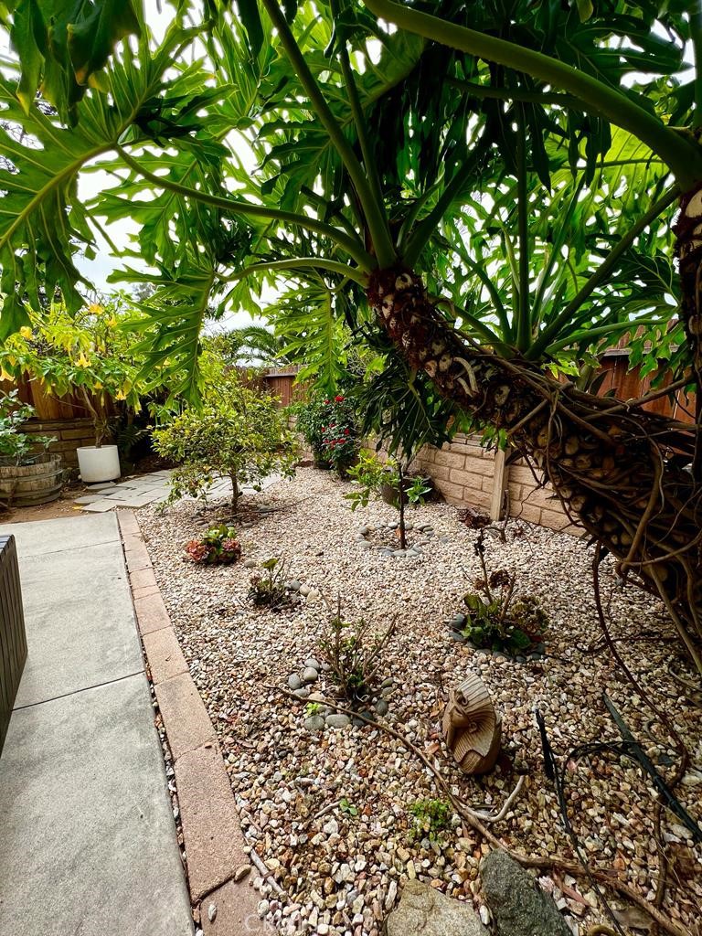 803 Caminito Azul Carlsbad, CA 92011 - Photo 39 of 44 a view of a yard with plants and trees