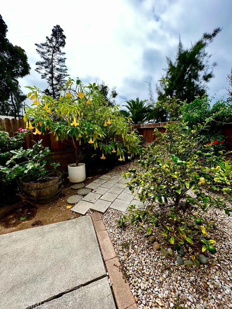803 Caminito Azul Carlsbad, CA 92011 - Photo 41 of 44 a view of a garden with flowers