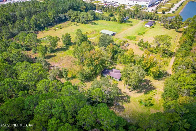 a view of flowers in a garden