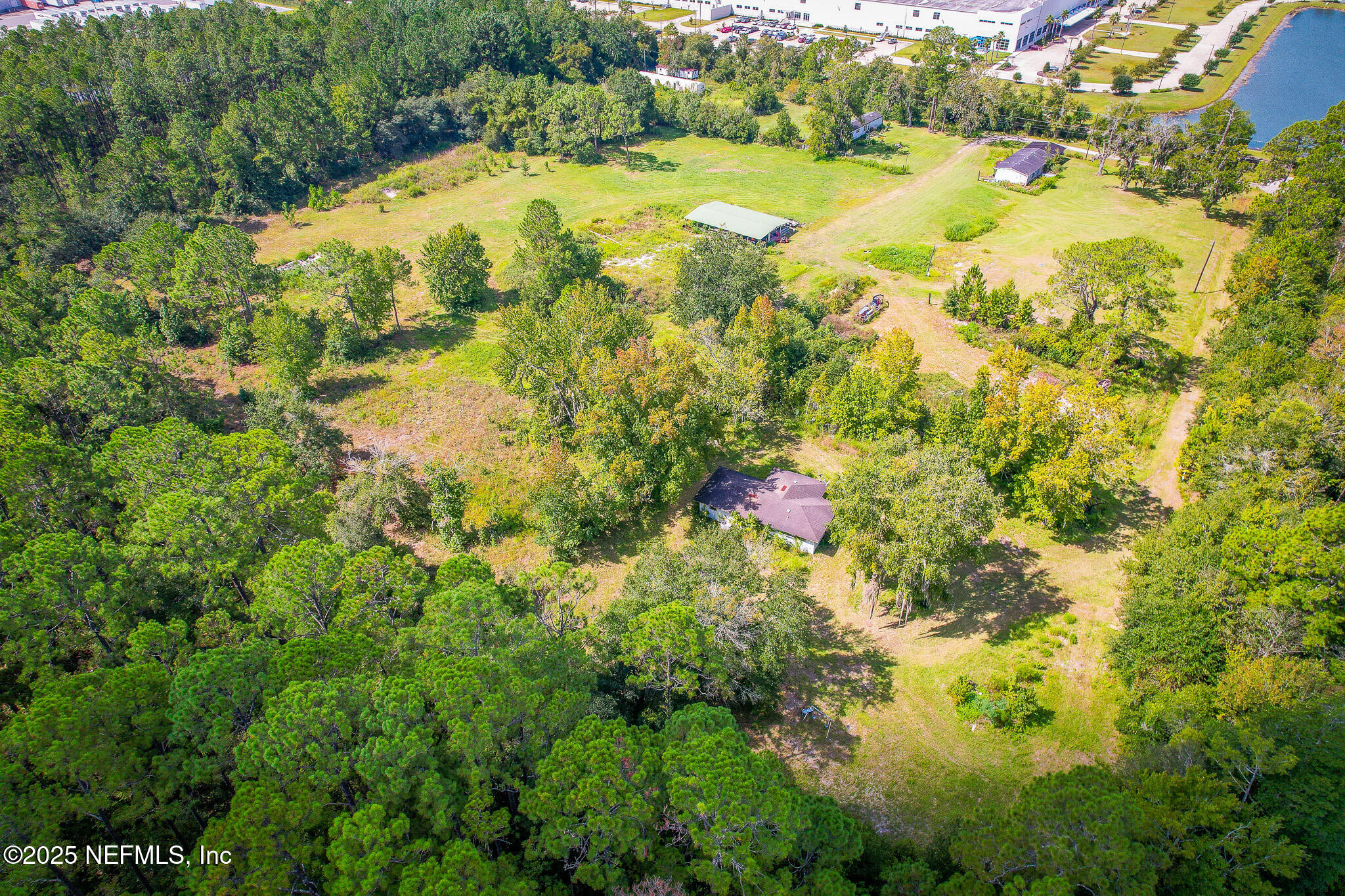 3821 Alcoy Road Jacksonville, FL 32221 - Photo 13 of 23 a view of a small yard with plants and large trees