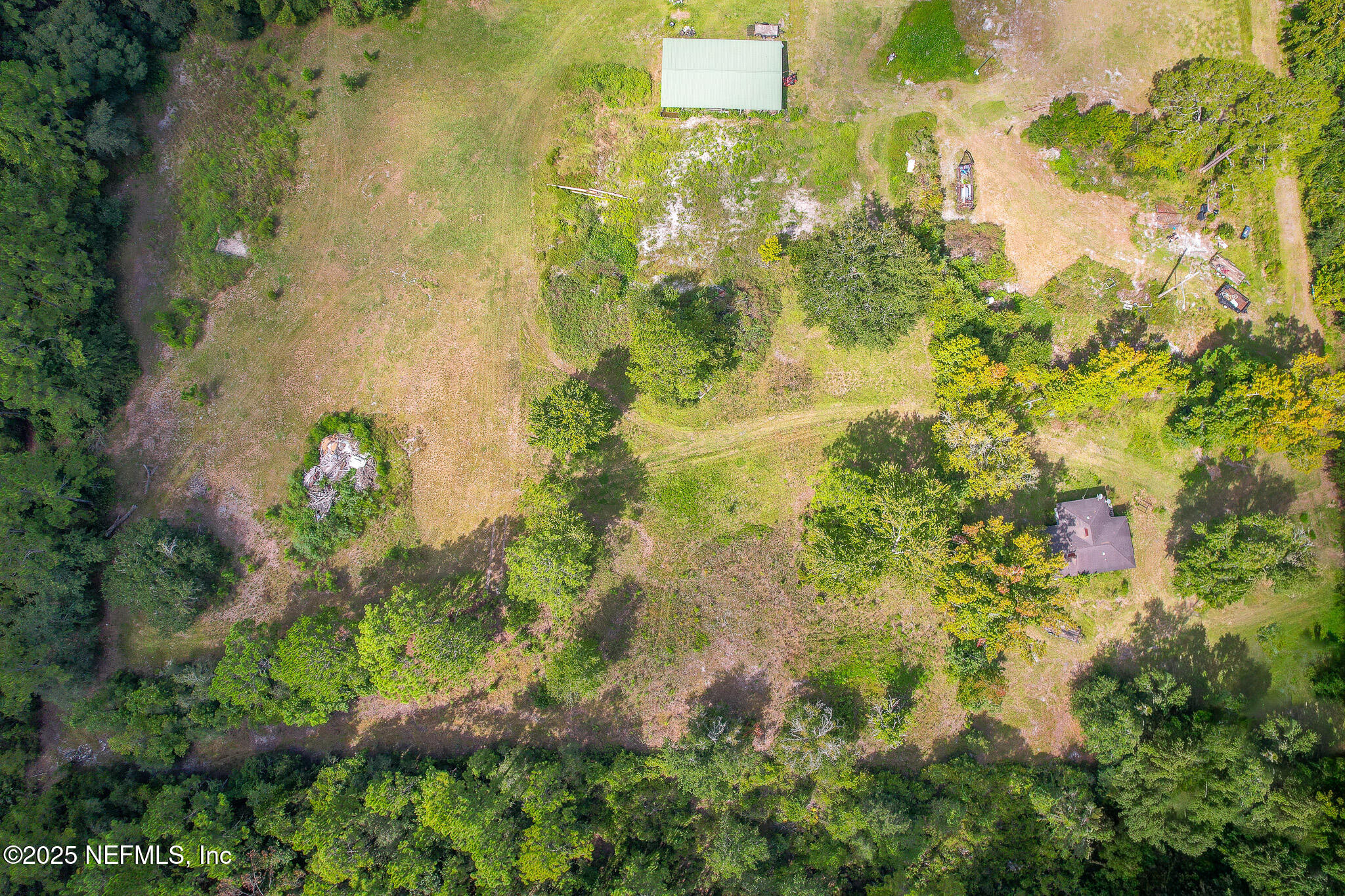 3821 Alcoy Road Jacksonville, FL 32221 - Photo 15 of 23 a view of flowers in a garden