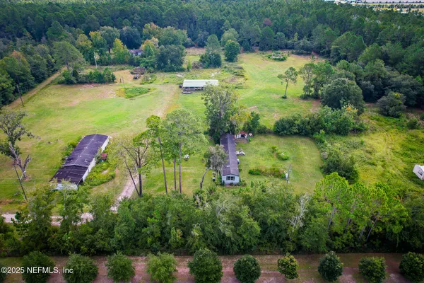 a view of a garden with plants