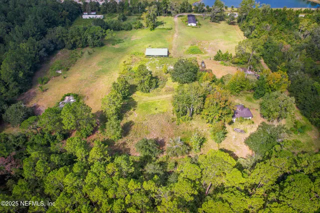 a view of a garden with plants