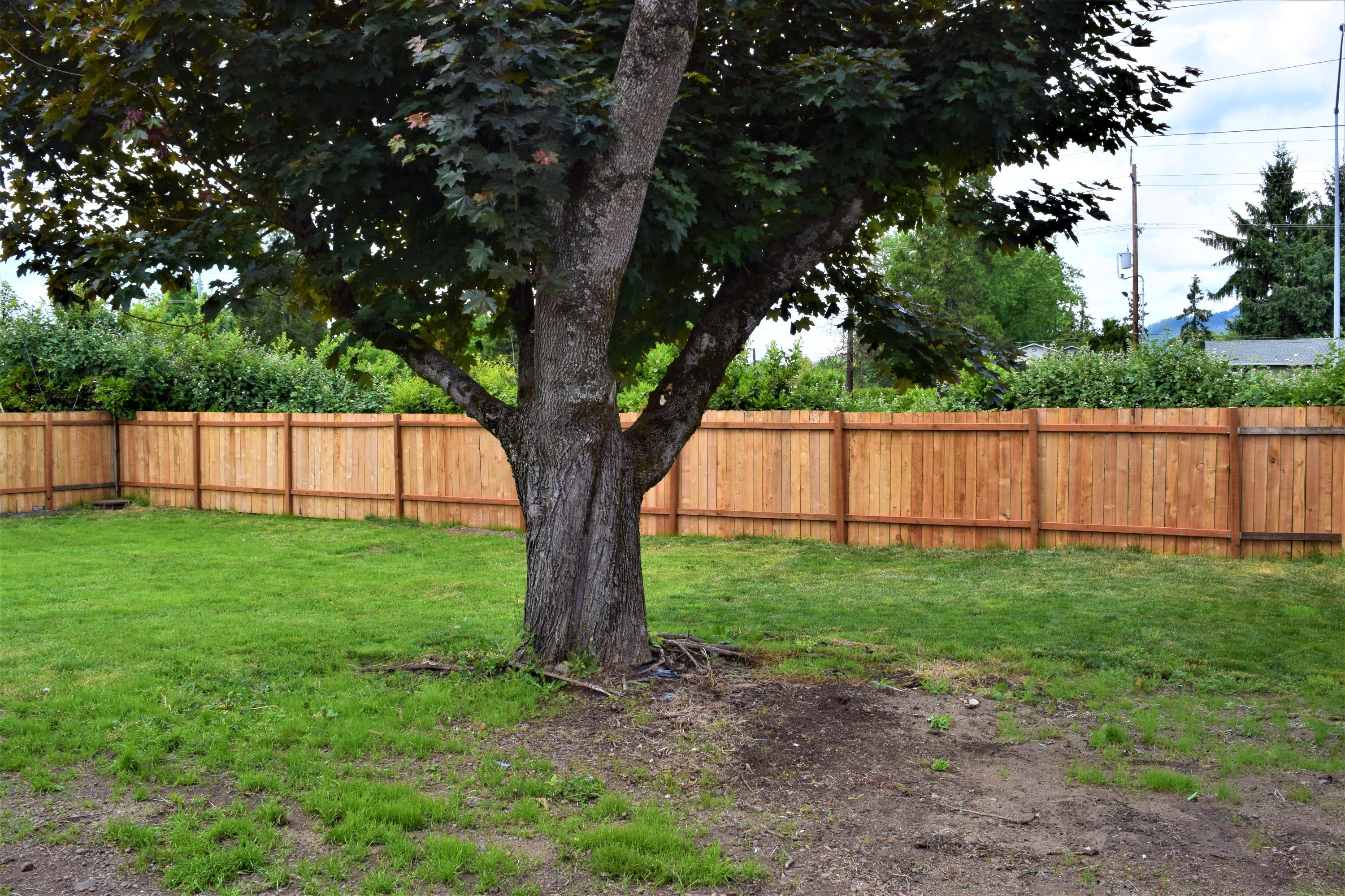1955 Carter Lane Springfield, OR 97477 - Photo 14 of 17 DSC_0165