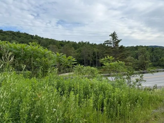 $300,000 | 0 Route 15 Wolcott Vt 05680, Morrisville, VT 05661