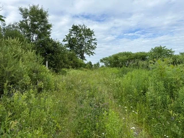 $300,000 | 0 Route 15 Wolcott Vt 05680, Morrisville, VT 05661