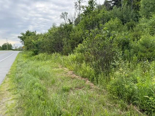 $300,000 | 0 Route 15 Wolcott Vt 05680, Morrisville, VT 05661