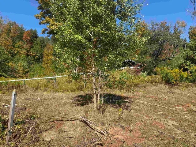 $300,000 | 0 Route 15 Wolcott Vt 05680, Morrisville, VT 05661