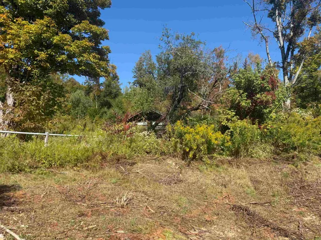 $300,000 | 0 Route 15 Wolcott Vt 05680, Morrisville, VT 05661