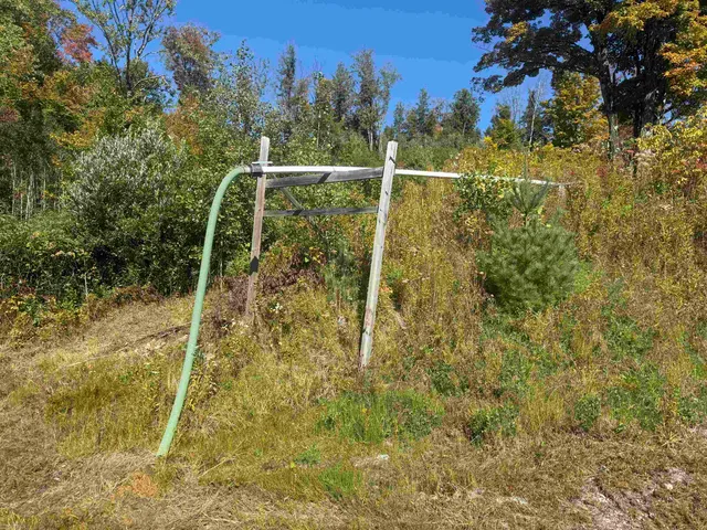 $300,000 | 0 Route 15 Wolcott Vt 05680, Morrisville, VT 05661