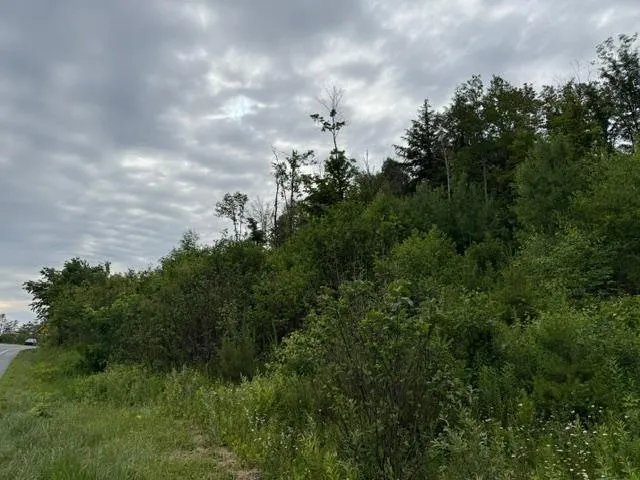 $300,000 | 0 Route 15 Wolcott Vt 05680, Morrisville, VT 05661