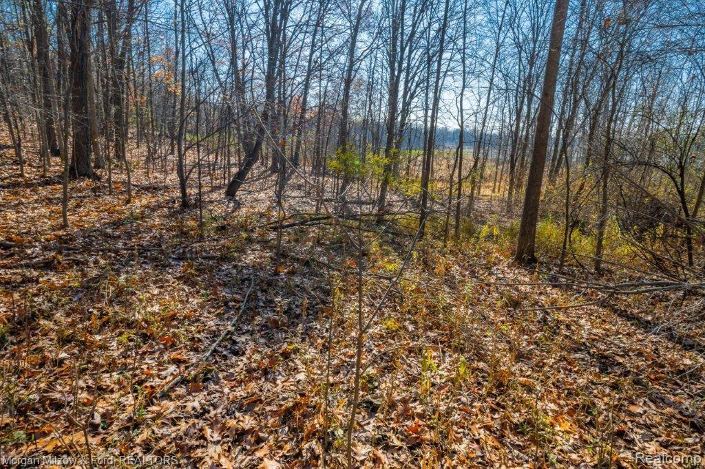 0 Hensell Road Holly, MI 48442 - Photo 4 of 17