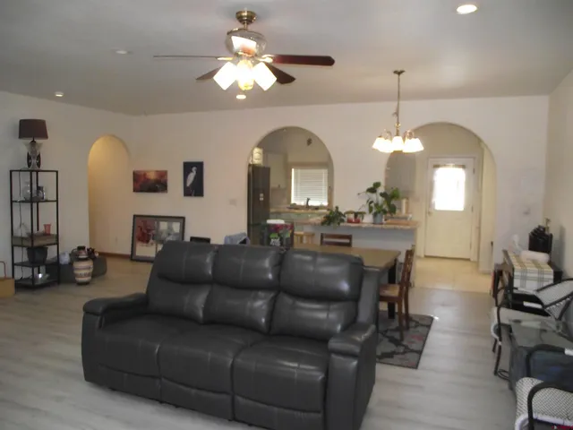 a room with furniture and a potted plant