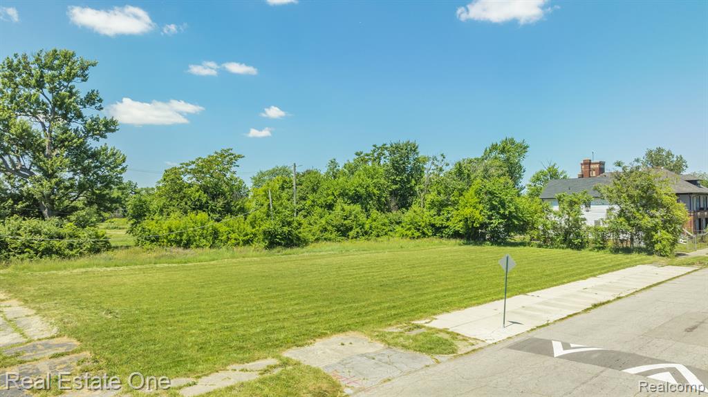 1075 Coplin Street Detroit, MI 48215 - Photo 3 of 14