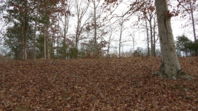 39 Sunset Rdg Lane Hilham, TN 38568 - Photo 1 of 52 Gallery Image 1