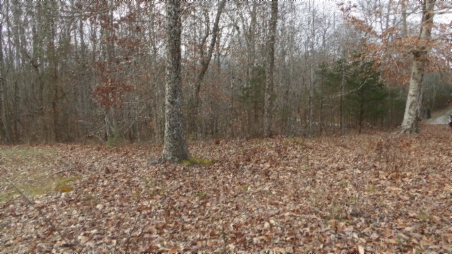 39 Sunset Rdg Lane Hilham, TN 38568 - Photo 11 of 52 Gallery Image 11