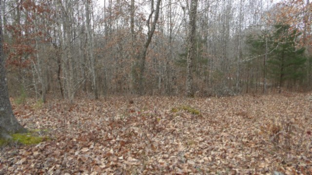 39 Sunset Rdg Lane Hilham, TN 38568 - Photo 12 of 52 Gallery Image 12