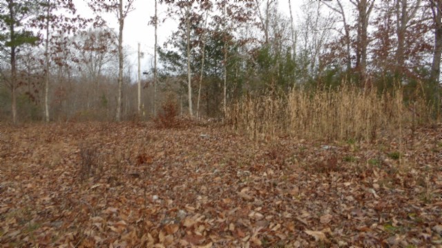39 Sunset Rdg Lane Hilham, TN 38568 - Photo 13 of 52 Gallery Image 13