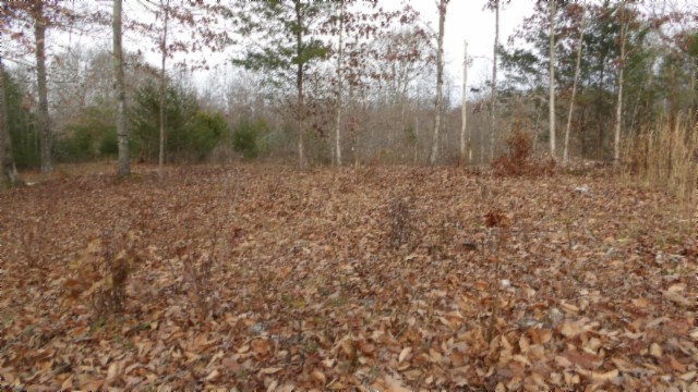 39 Sunset Rdg Lane Hilham, TN 38568 - Photo 15 of 52 Gallery Image 15