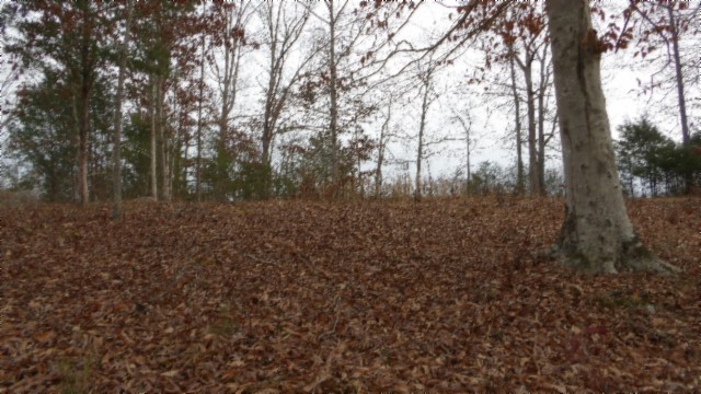 39 Sunset Rdg Lane Hilham, TN 38568 - Photo 20 of 52 Gallery Image 20