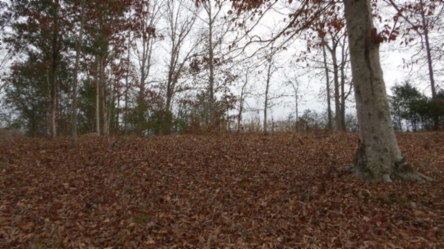 39 Sunset Rdg Lane Hilham, TN 38568 - Photo 22 of 52 Gallery Image 22